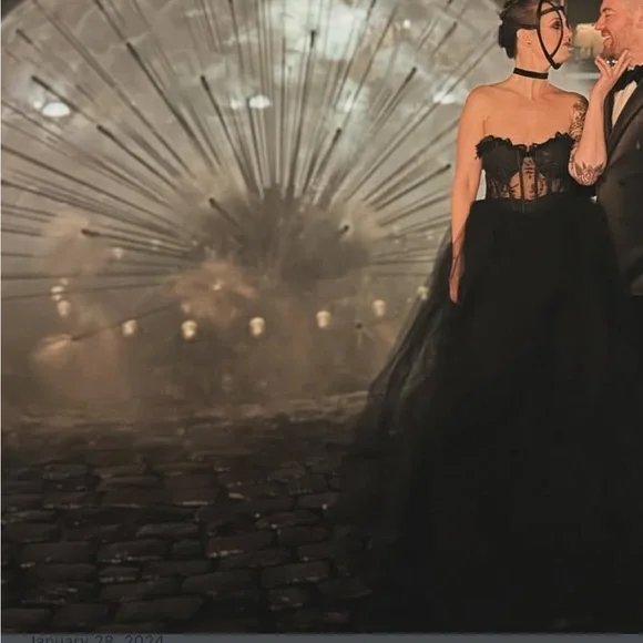 Lana Embroidered Tulle Ball Gown - Black - Picture 4 of 9